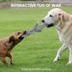 Stuffed-Free Crinkle Interactive Dog Toys