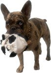 Piggy Poo Crinkle Squeaker Toys 8-Pack for Dogs