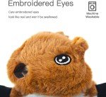 SHARLOVY Squeaky Dog Toys - 5 Pack Set