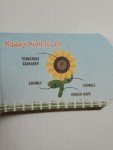 P.L.A.Y Blooming Buddies Sunflower Crinkle Toy