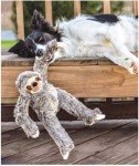 Large 15-Inch Tico Sloth Plush Dog Toy