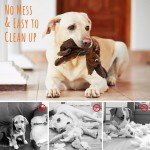 Heavy Duty Plush Squeaky Chew Dog Toy