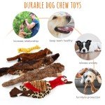 Heavy Duty Plush Squeaky Chew Dog Toy