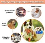 Turkey & Beer 3-Pack Squeaky Dog Toys