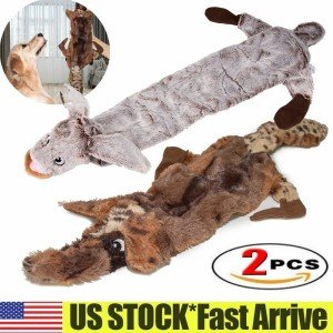 2-Pack Durable Plush Squeaky Dog Toys