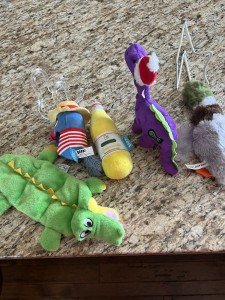 5-Pack Durable Plush Squeaky Toys for Dogs