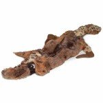 2-Pack Durable Plush Squeaky Dog Toys