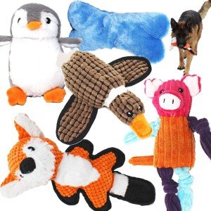 5-Pack Plush Squeaky Dog Toys Bundle