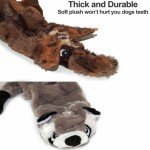 2-Pack Durable Plush Squeaky Dog Toys