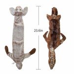 2-Pack Durable Plush Squeaky Dog Toys