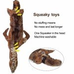 2-Pack Durable Plush Squeaky Dog Toys