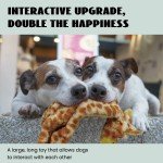 Nocciola 6 PCS Durable Squeaky Toys for Dogs