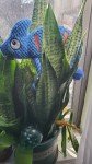 Blue Plush Rope Dog Toy - Durable & Fun