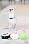Durable Squeaky Sushi Plush Dog Toy Set