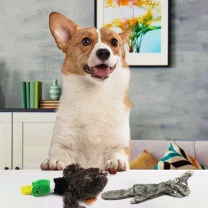 5-Pack Durable Plush Dog Squeaky Toys