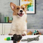 5-Pack Durable Plush Dog Squeaky Toys