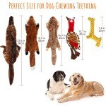 Durable Plush Squeaky Dog Toys - 5 Pack