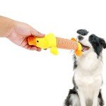 Durable Plush Squeaky Dog Chew Toys - 3 Pack
