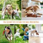 Durable Plush Squeaky Dog Toys - 5 Pack