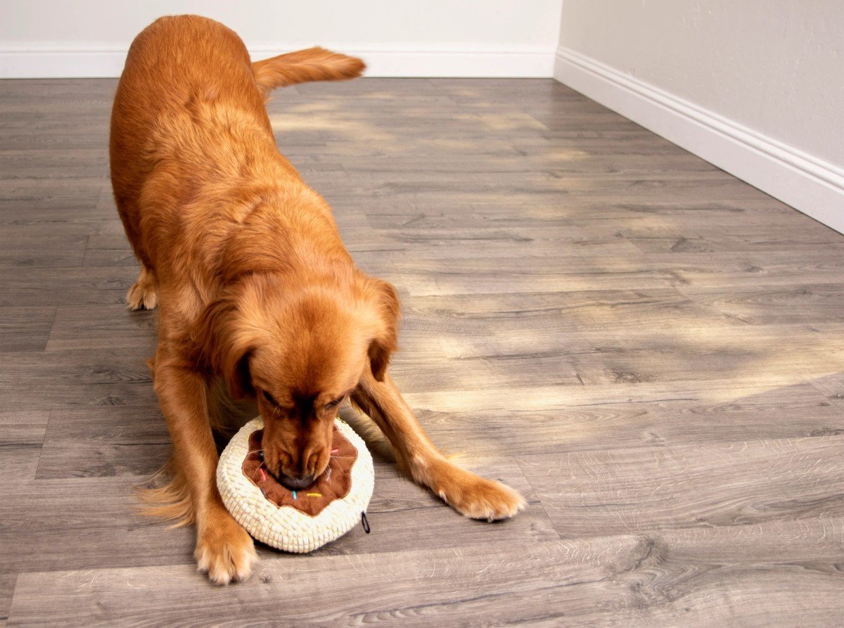 Furhaven Pet Products
