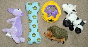 5-Pack Plush Dog Toys: Tiara, Cow, Kangaroo & More