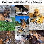 Nocciola 5 Pack Crinkle Squeaky Dog Toys