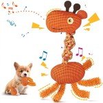 Durable Squeaky Plush Chew Toys for Dogs