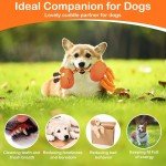 Durable Squeaky Plush Chew Toys for Dogs