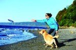 Chuckit Paraflight Small Dog Frisbee Toy