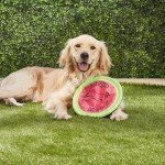 Aspen Booda Soft Bite Dog Fetch Frisbee 10