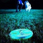 Chuckit Paraflight Glow-in-the-Dark Dog Frisbee