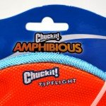 Chuckit Amphibious Zip Flight Small Frisbee 2-Pack