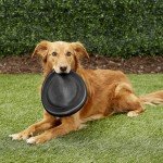 KONG Extreme 10" Soft Rubber Dog Frisbee Toy