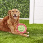 Aspen Booda Soft Bite Floppy Dog Frisbee