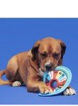 Bark Fetch 'N' Win Flying Dog Disk
