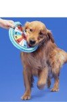 Bark Fetch 'N' Win Flying Dog Disk
