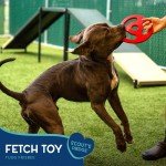 Tugg Rubber Frisbee Dog Fetch Toy for All Sizes