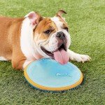 Chuckit! Paraflight Floating Dog Frisbee Toy