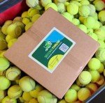 Bulk Tennis Balls for Dogs - Affordable Playtime!