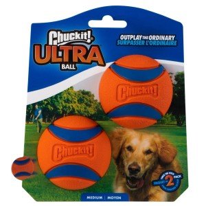 Set of 2 Ultra Ball Dog Toys, Medium