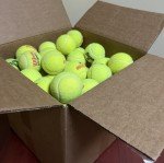 Grade A Tennis Balls for Indoor Dog Play