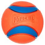 Set of 2 Ultra Ball Dog Toys, Medium