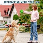 Interactive Wobble Giggle Ball for Dogs