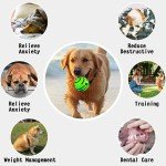 Interactive Wobble Giggle Ball for Dogs