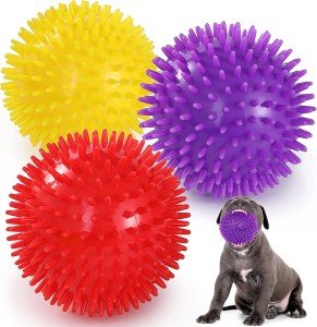 Colorful Squeaky Dog Toy Balls – 3.5” BPA Free