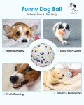 Durable Dog Balls for Aggressive Chewers