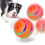 Interactive LED Pet Ball for Dogs