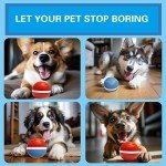Interactive Rolling Dog Toy Balls for Fun Play