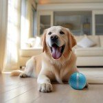 Interactive Rolling Dog Toy Balls for Fun Play