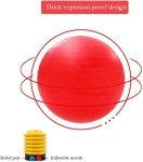 Large Anti-Burst Horse Exercise Ball Toy